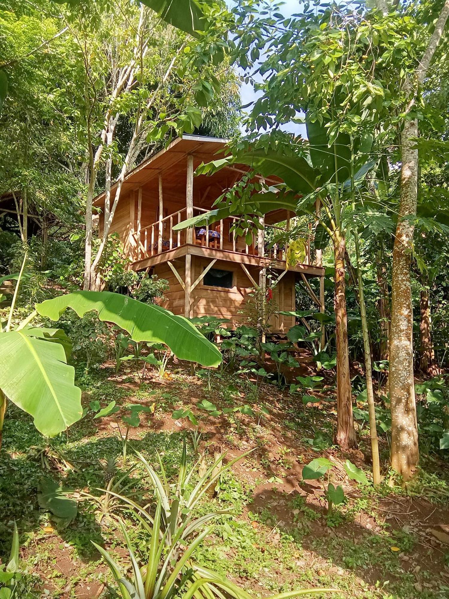 Eco-Por Villa Rio do Ouro Exterior photo